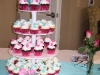 Cupcake Tower- Pink and Blue 2
